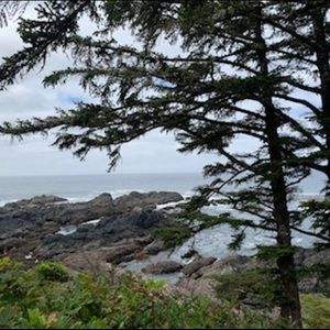 Meet your Posher, Sabine